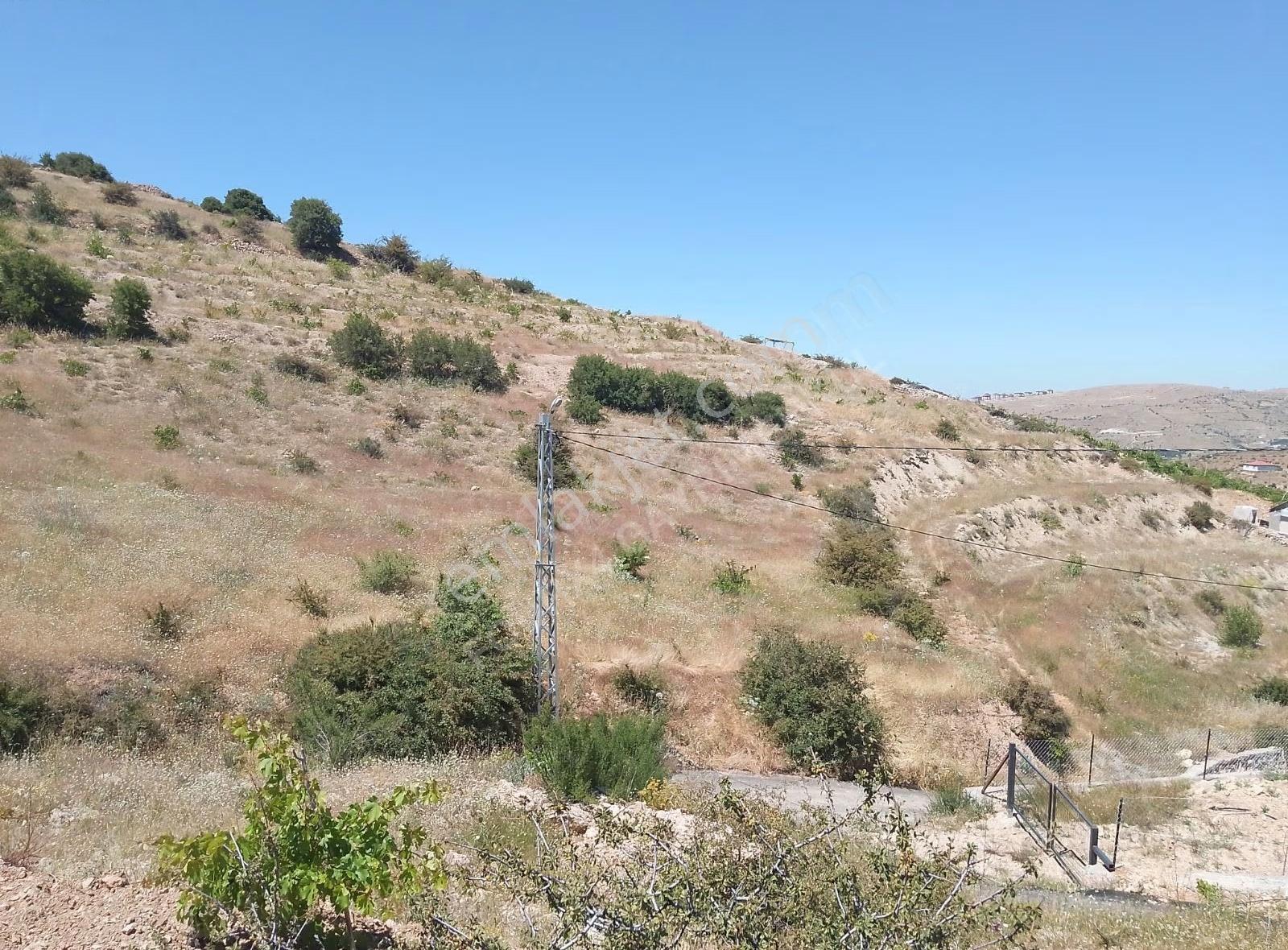 Fourx4 Gayrimenkulden Konak Merkeze 1.5 Km Mesafede Satılık Bağ - Görsel 24