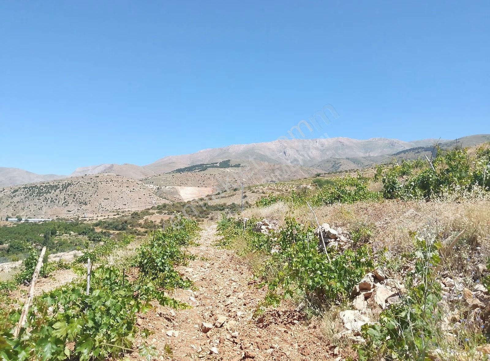 Fourx4 Gayrimenkulden Konak Merkeze 1.5 Km Mesafede Satılık Bağ - Görsel 7