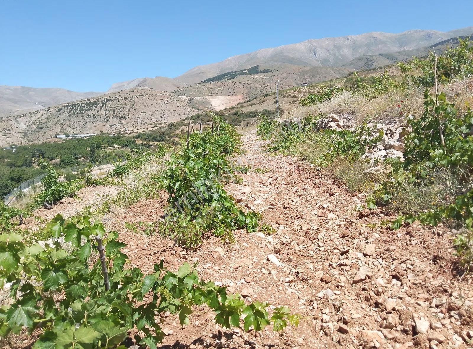 Fourx4 Gayrimenkulden Konak Merkeze 1.5 Km Mesafede Satılık Bağ - Görsel 31