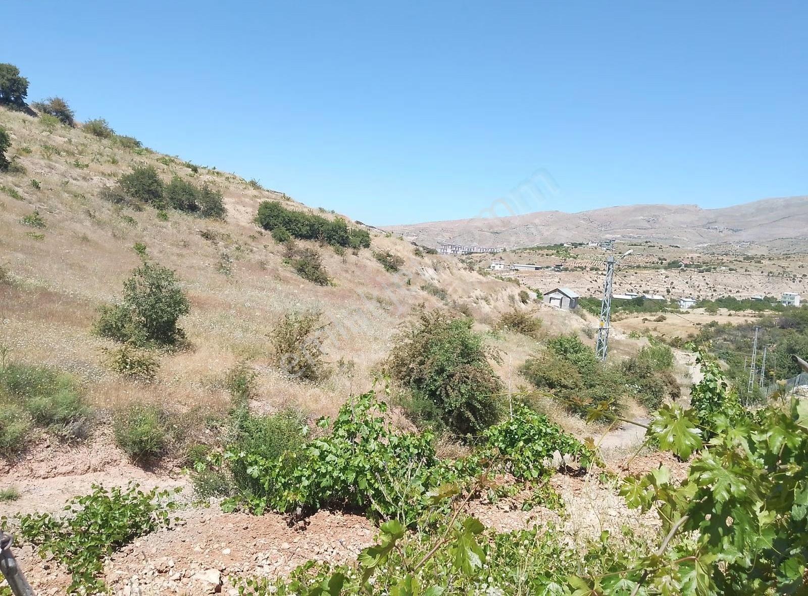 Fourx4 Gayrimenkulden Konak Merkeze 1.5 Km Mesafede Satılık Bağ - Görsel 16