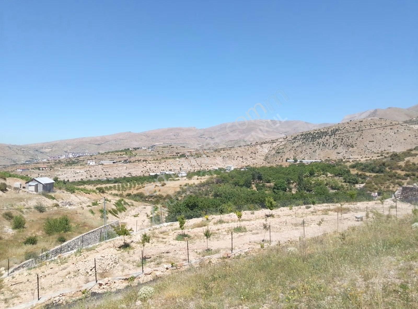 Fourx4 Gayrimenkulden Konak Merkeze 1.5 Km Mesafede Satılık Bağ - Görsel 23