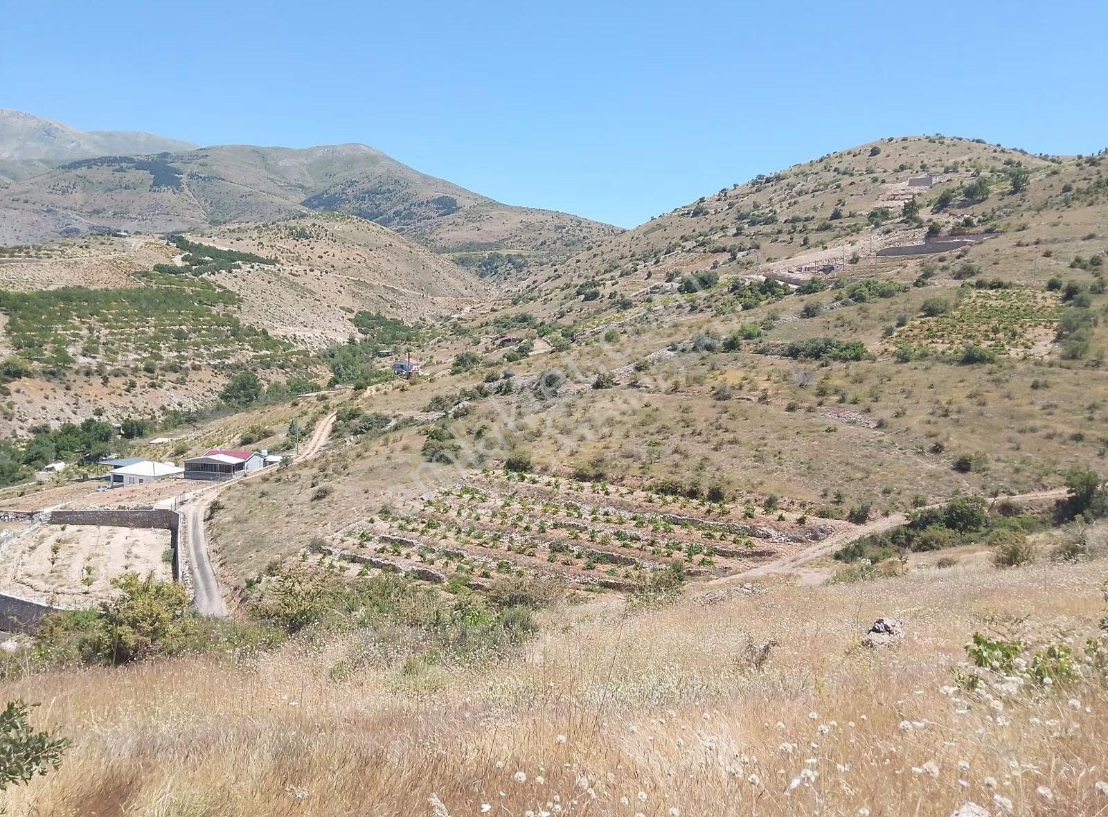 Fourx4 Gayrimenkulden Konak Merkeze 1.5 Km Mesafede Satılık Bağ - Görsel 5