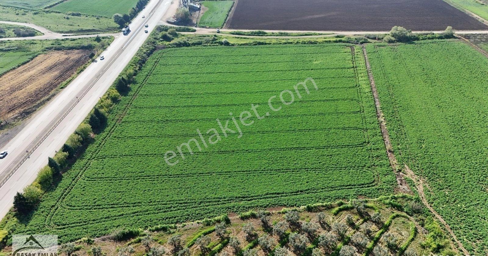 Başak Emlaktan Karacabey'de 27 Dönüm Yatırımlık Arazi - Görsel 9