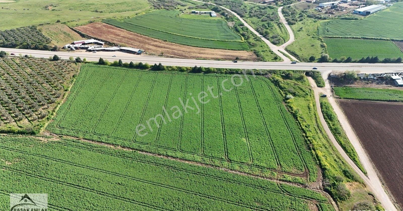 Başak Emlaktan Karacabey'de 27 Dönüm Yatırımlık Arazi - Görsel 19