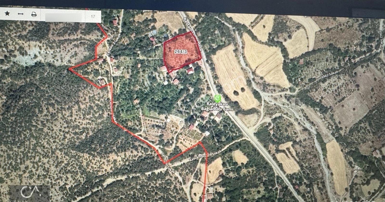 Tosya Kaleyakası Mevki 5400 M2 Bahçe Ve Ahşap Ev Satılık - Görsel 5