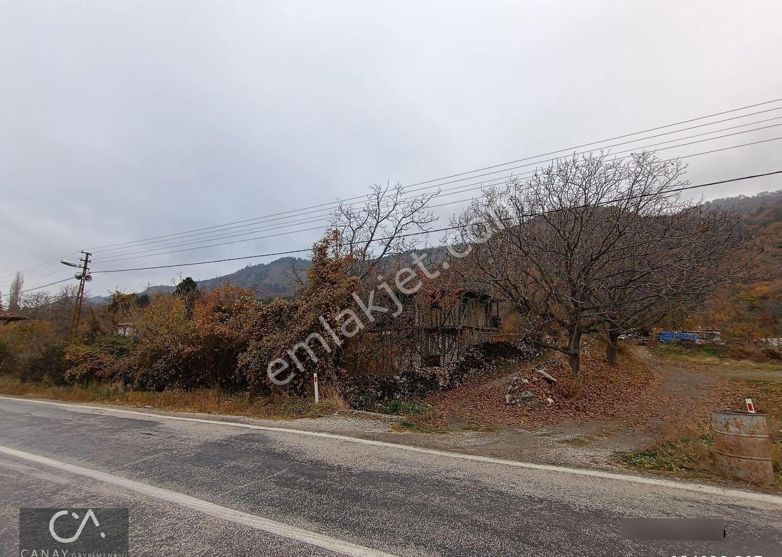 Tosya Kaleyakası Mevki 5400 M2 Bahçe Ve Ahşap Ev Satılık - Görsel 3
