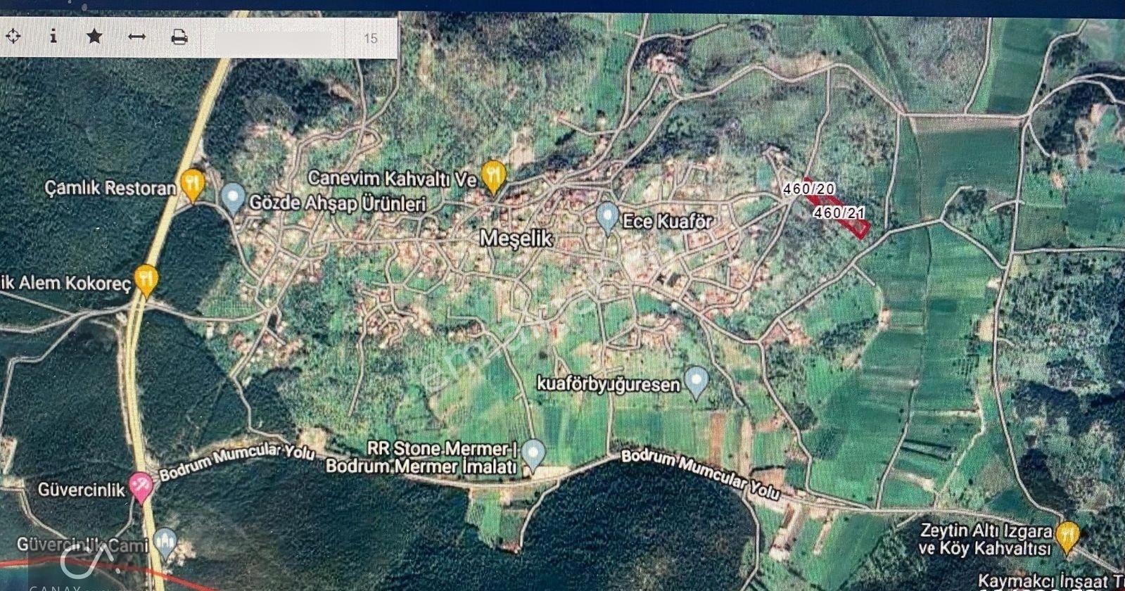 Milas Bodrum Yolunda Meşelik Mah İmarlı 1535 M2 İçinde 300 M2 Havuzlu Villa -zeytinlik Satılık - Görsel 10