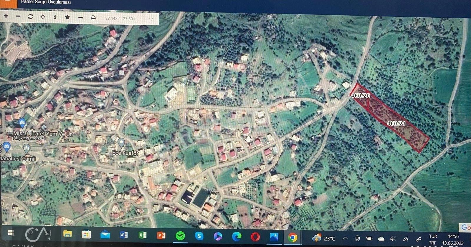 Milas Bodrum Yolunda Meşelik Mah İmarlı 1535 M2 İçinde 300 M2 Havuzlu Villa -zeytinlik Satılık - Görsel 8