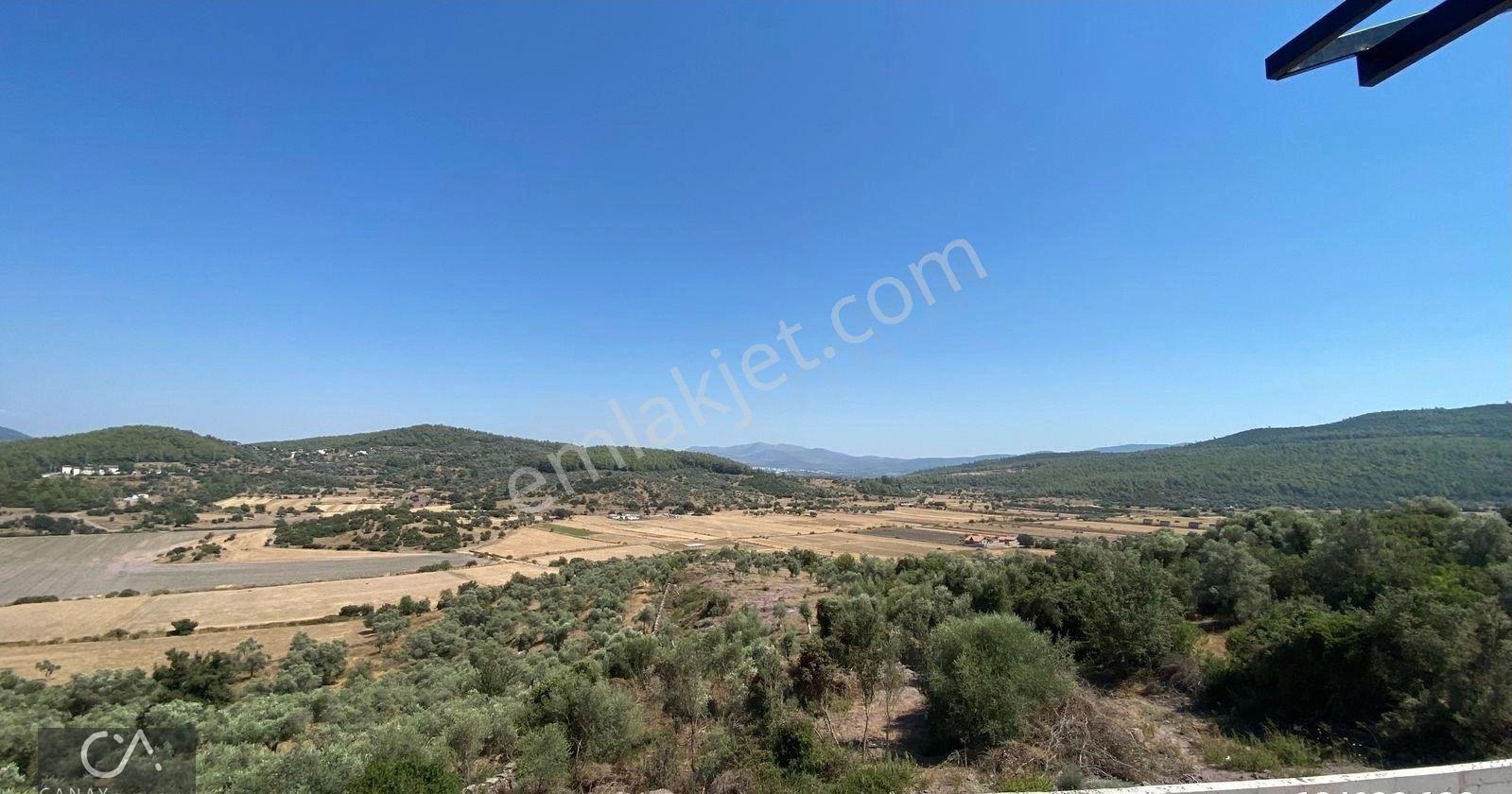 Milas Bodrum Yolunda Meşelik Mh İmarlı 20 İla 25 Villa Yapmaya Uygun Zeytinlik - Görsel 13