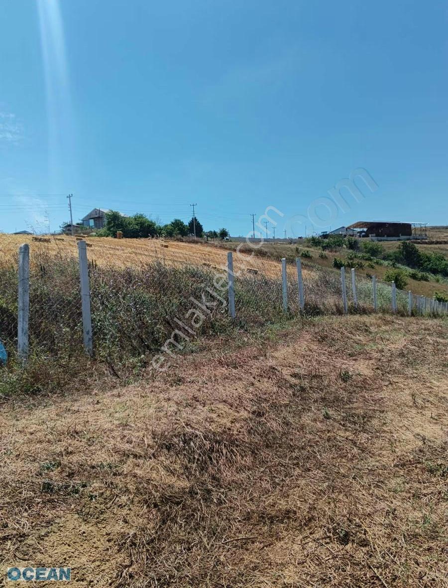 İzmit Kaynarca Köyünde Resmi Yollu Tarla - Görsel 4