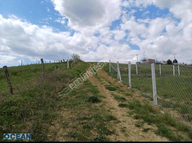 İzmit Kaynarca Köyünde Resmi Yollu Tarla - Görsel 9