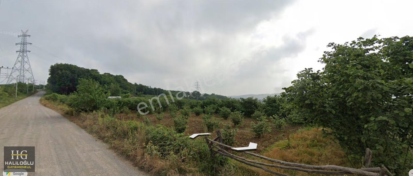 Ferizli/ceylandere Mh. Asfalta Cephe Arsa - Görsel 4