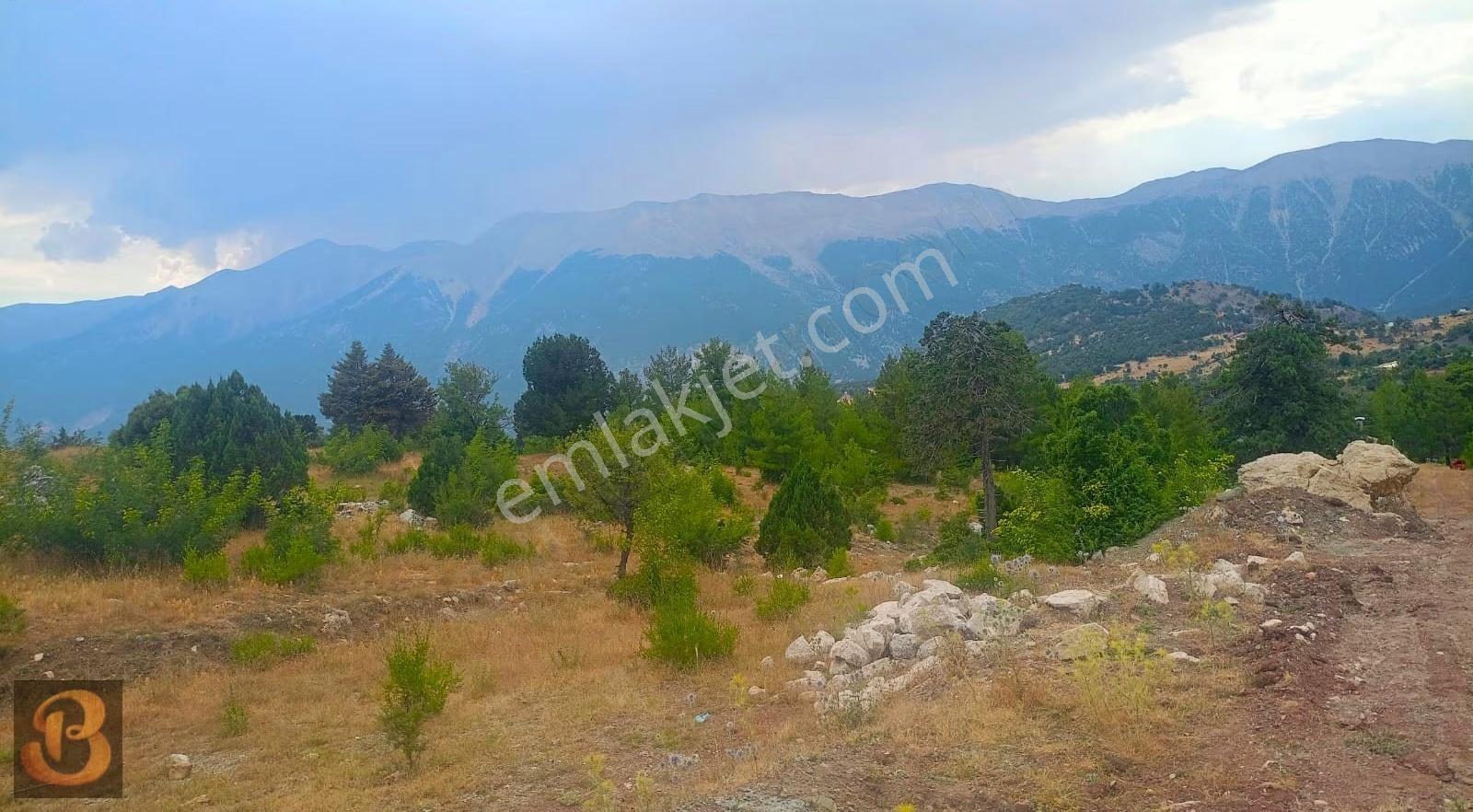 Antalya Kumluca Söğütcuması Satılık 281 M2 Arazi Ve 80 M2 Ev.. - Görsel 11