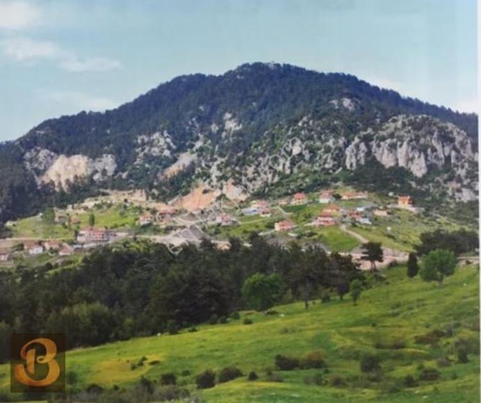 Antalya Kumluca Söğütcuması Satılık 281 M2 Arazi Ve 80 M2 Ev.. - Görsel 13