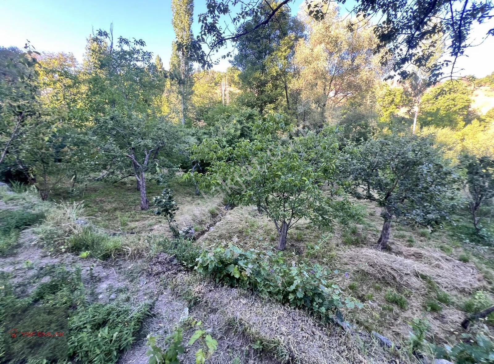 Ysf Emlak'tan Niğde Yeşilburç Satılık 1680 M2 Bahçe - Görsel 20