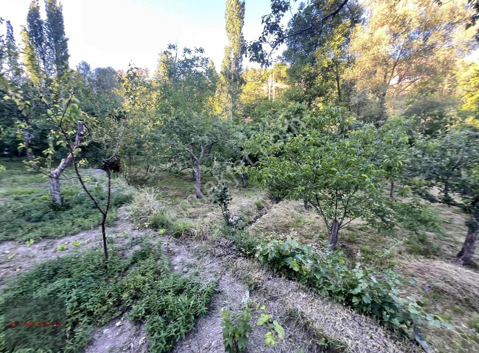 Ysf Emlak'tan Niğde Yeşilburç Satılık 1680 M2 Bahçe - Görsel 23