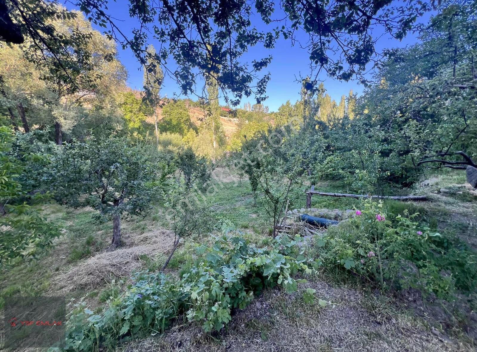 Ysf Emlak'tan Niğde Yeşilburç Satılık 1680 M2 Bahçe - Görsel 10
