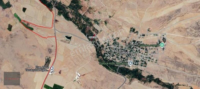 Ysf Emlak'tan Niğde Güllüce Mevki Satılık 730 M2 Bahçe