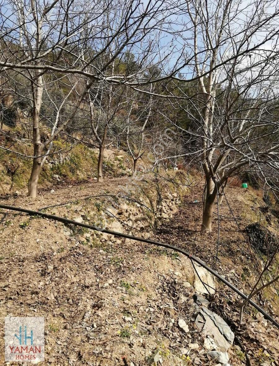 Alanya Uğurlu Kıvrasılda Satılık 1 Dönüm Arsa - Görsel 3