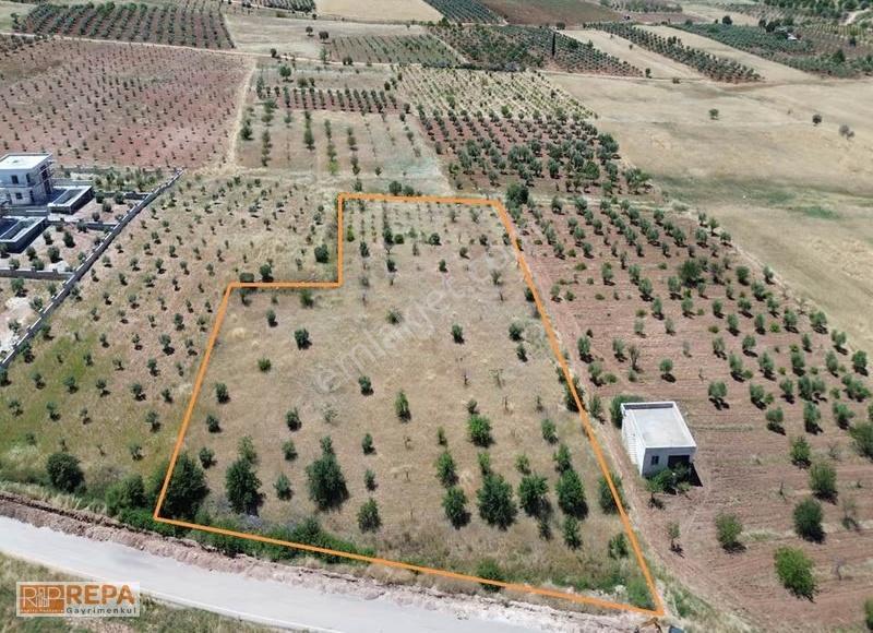 Repa Gayrimenkul Emin Darıcıoğlu Kaleboynu Ana Asfalt Üstü Tarla - Görsel 3