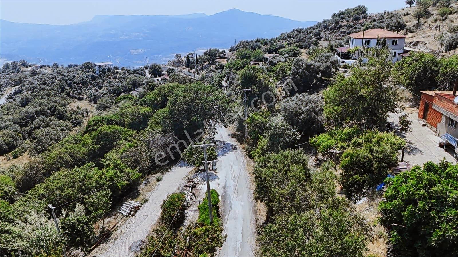 Doğadan Gayrimenkulden Köyiçi Arsa - Görsel 5