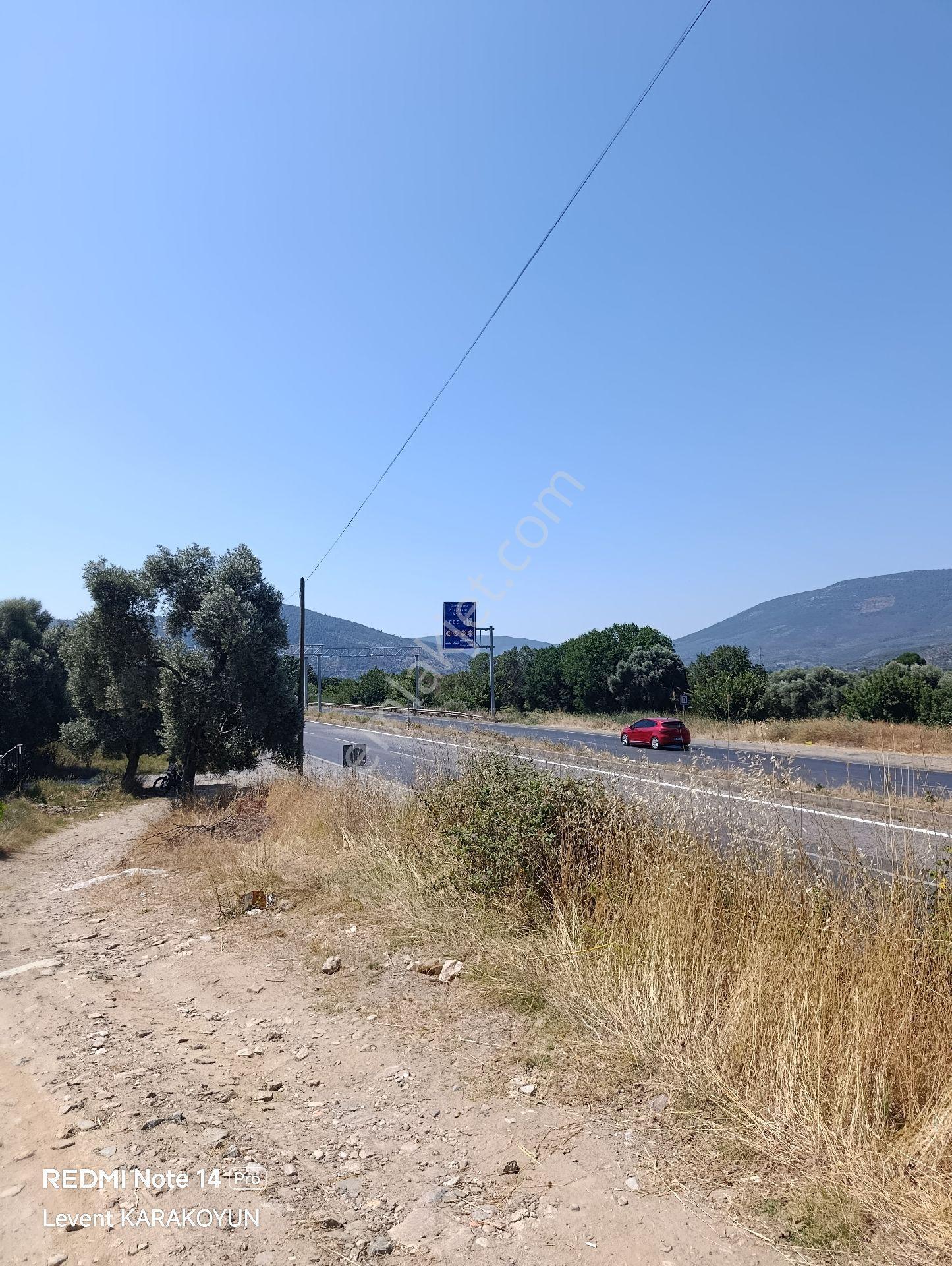 Milas Selimiye'de İzmir Yoluna Yakın Satılık Tarla - Görsel 10