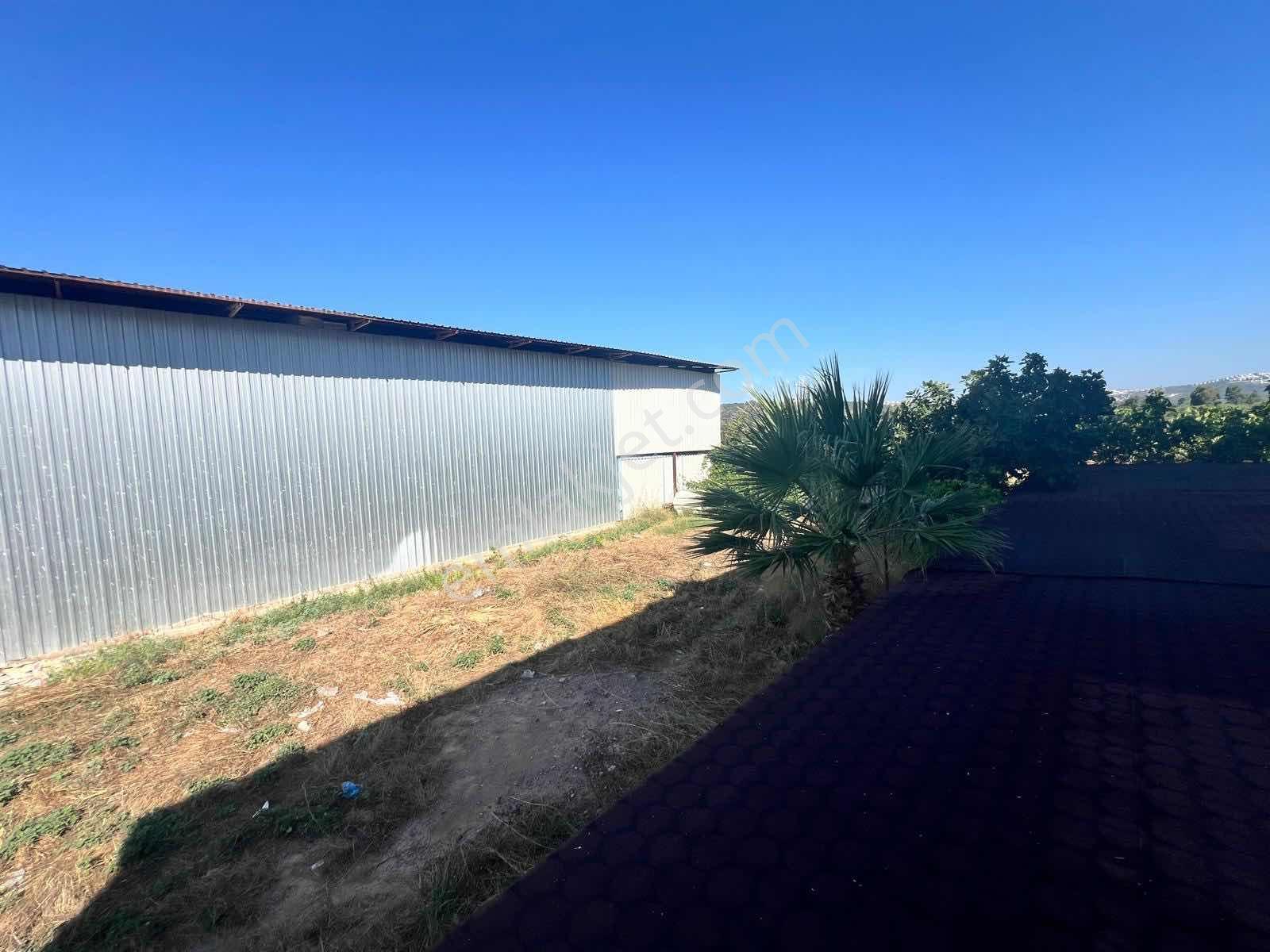 Milas Meşelik Seferalanı Mevkiinde Satılık Arsa - Görsel 2