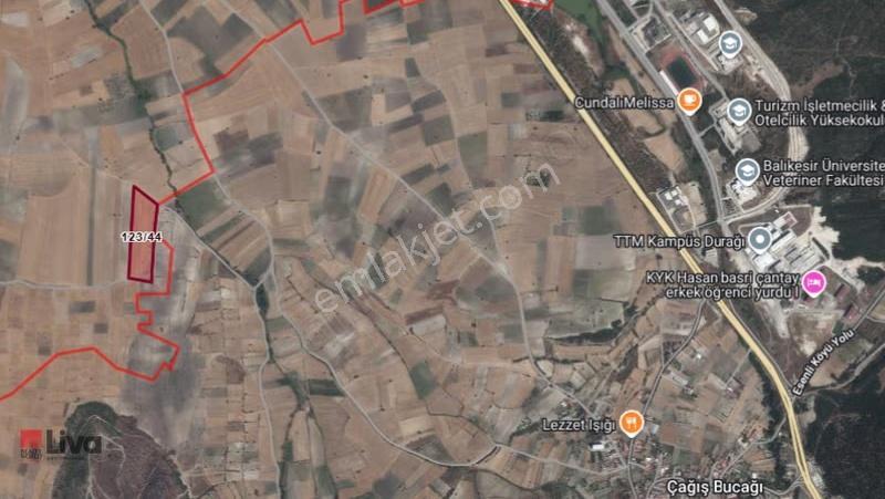 Liva'dan Balıkesir Paşaköy'de Tek Tapu 25 Dönüm - Görsel 10