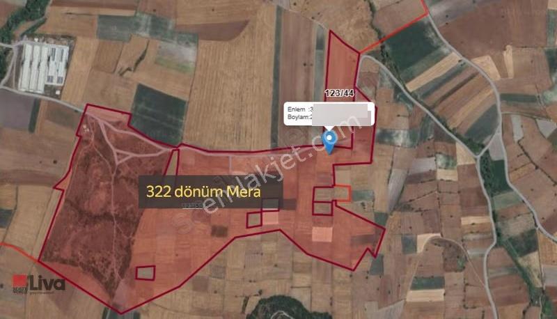 Liva'dan Balıkesir Paşaköy'de Tek Tapu 25 Dönüm - Görsel 7