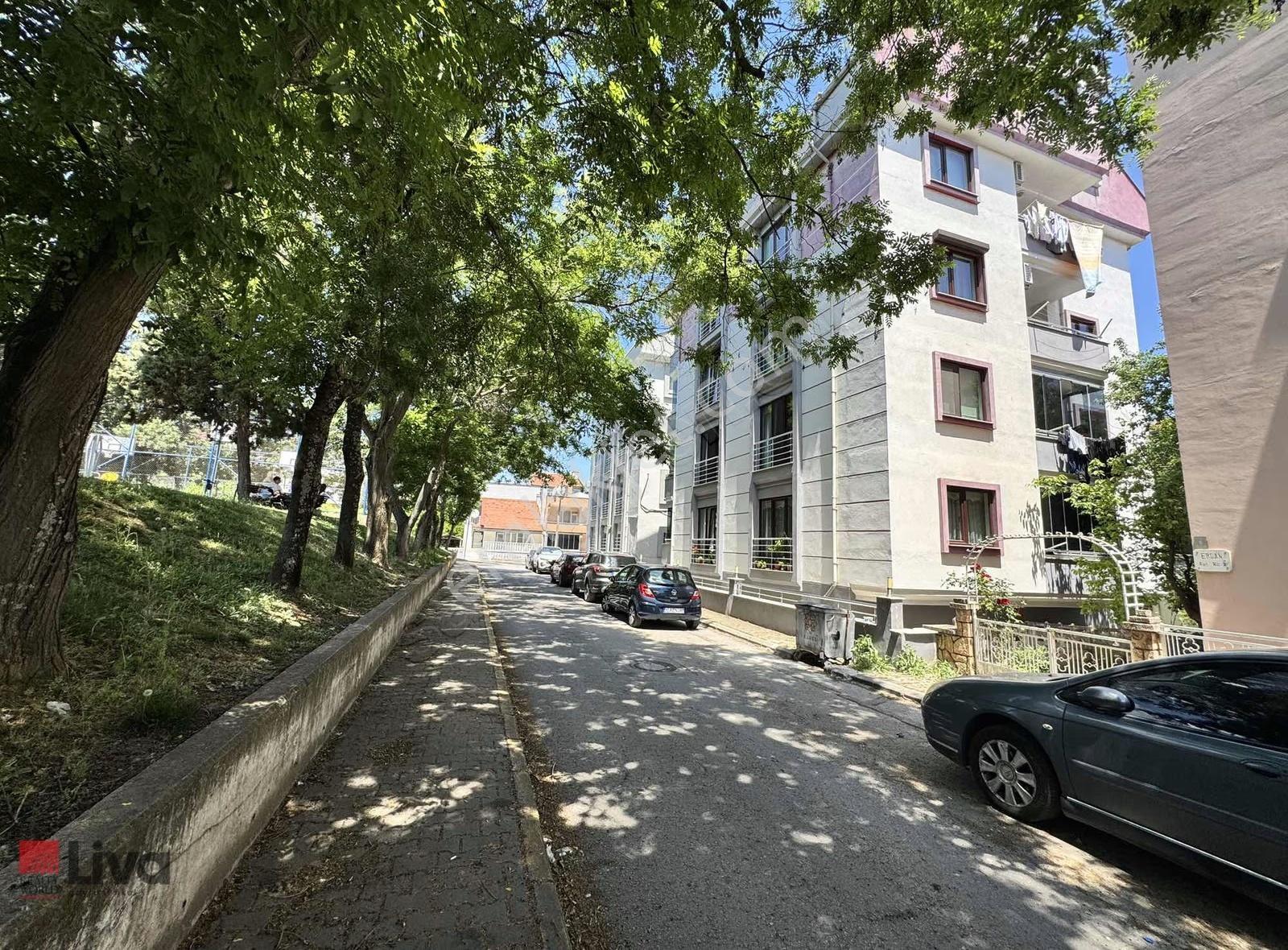 ▓liva Dan Paşaalanı Tarafı Önü Park Alanı Arakat Lüx 3+1▓