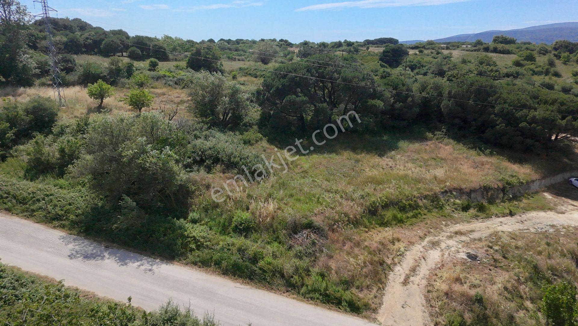 Erdek Yukarıyapıcı'da Yola Cephe 597 M² Satılık Tarla