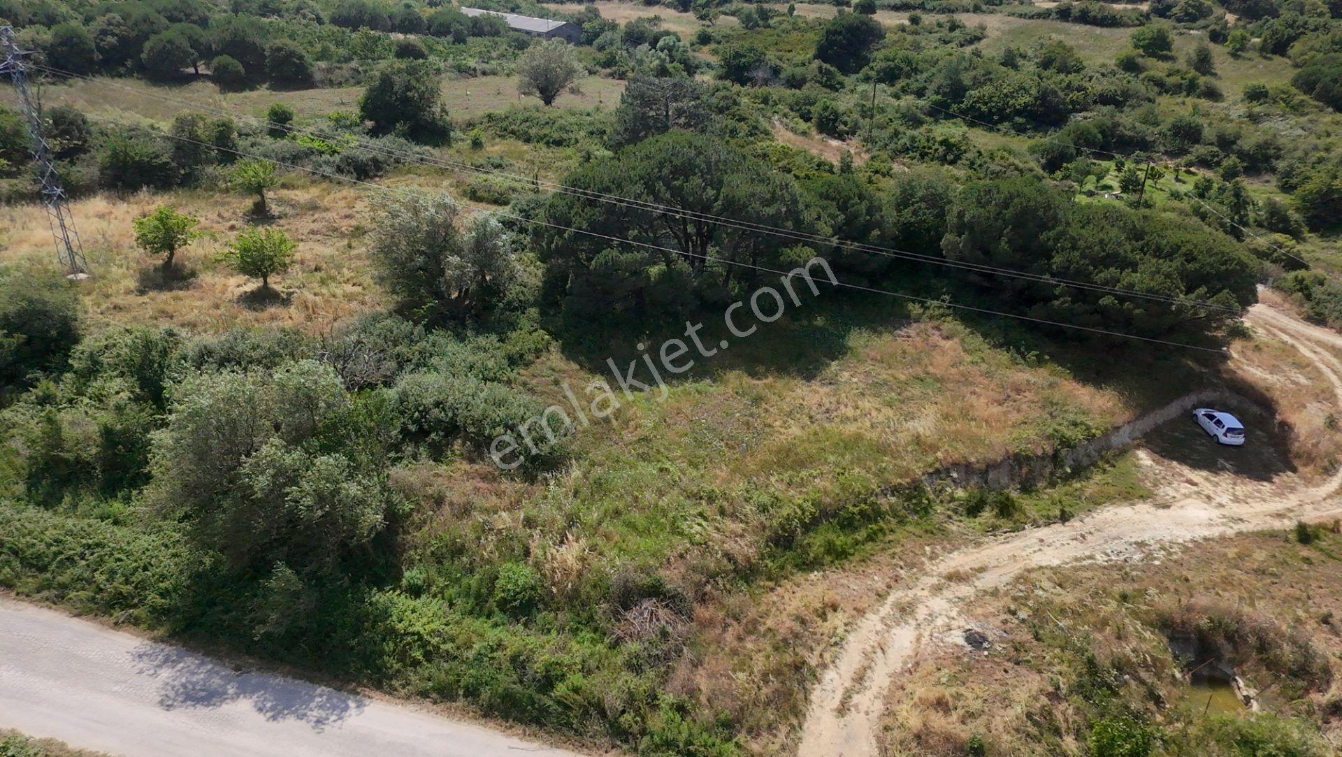 Erdek Yukarıyapıcı'da Yola Cephe 597 M² Satılık Tarla - Görsel 2