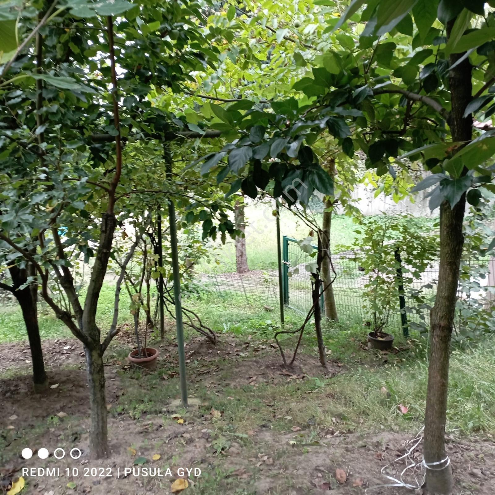 Sapanca Göl Manzaralı Kartepe Kayak Merkezne Yakın Triplex Villa - Görsel 5