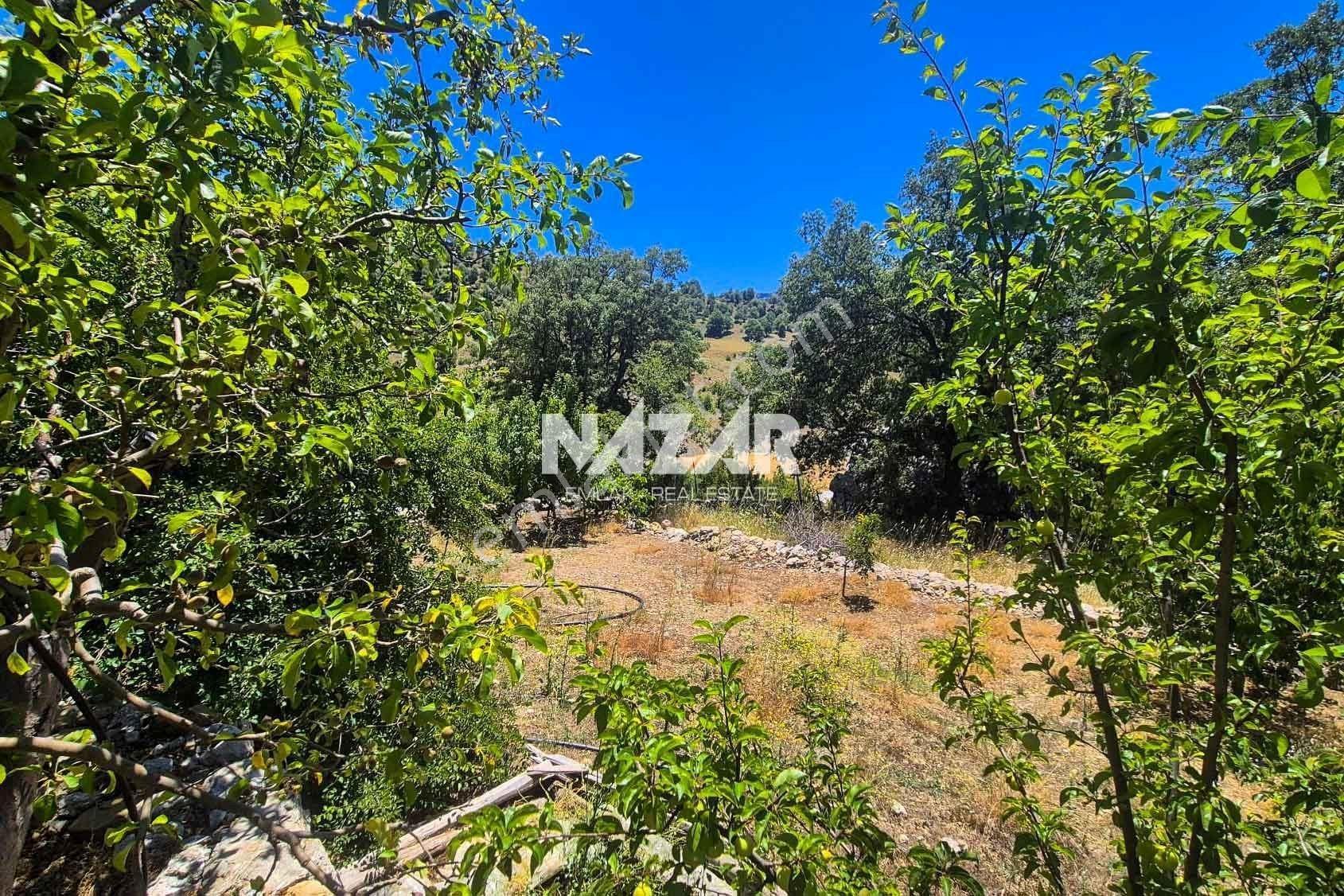 Alanya Kocaoğlanlı Gödüre Yaylası’nda Kiralık 1+1 Eşyalı Ev - Görsel 12