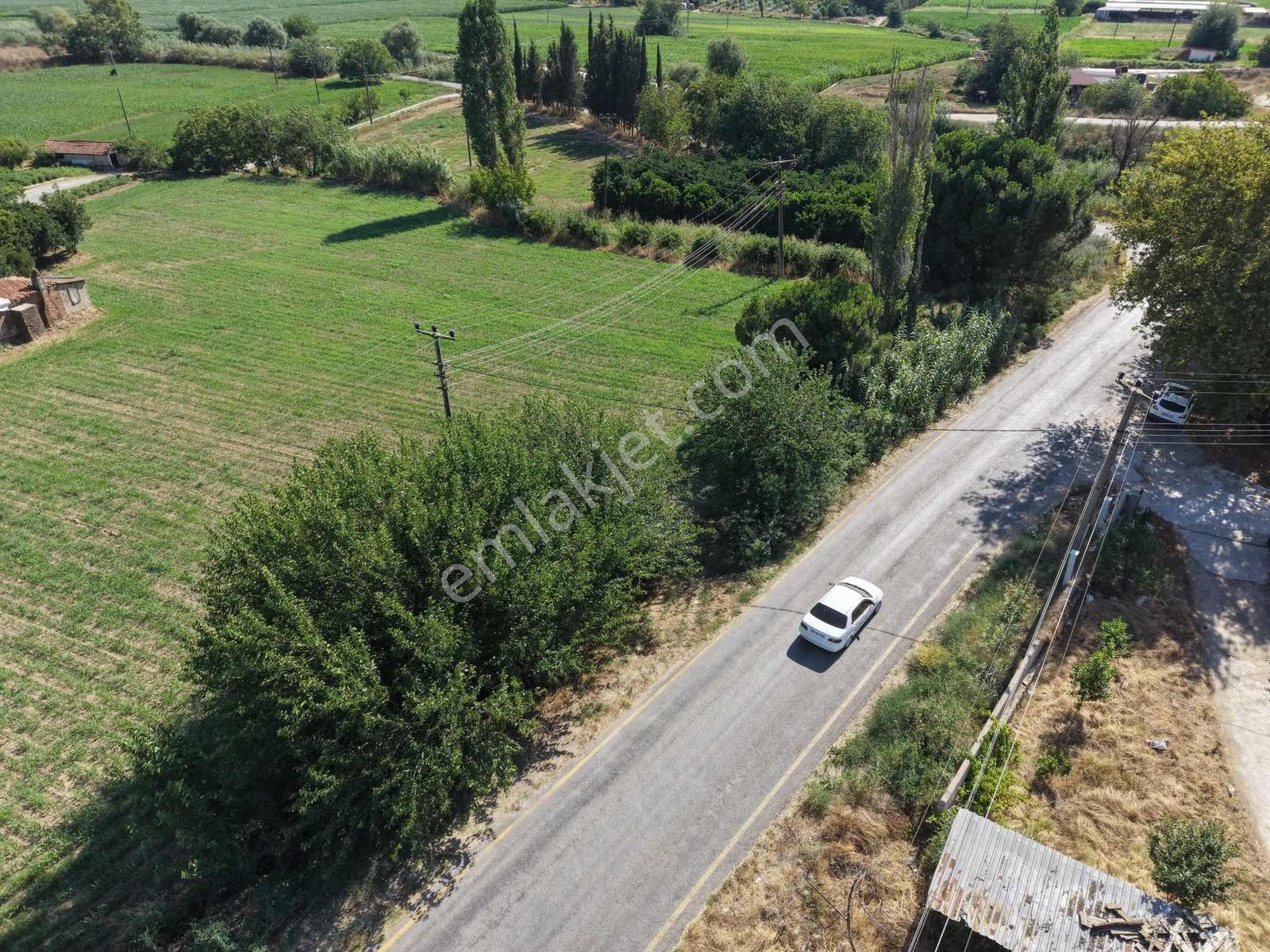 Milas Selimiyede Yola Sıfır | Elektrik-su-kuyu-yapı | - Görsel 5