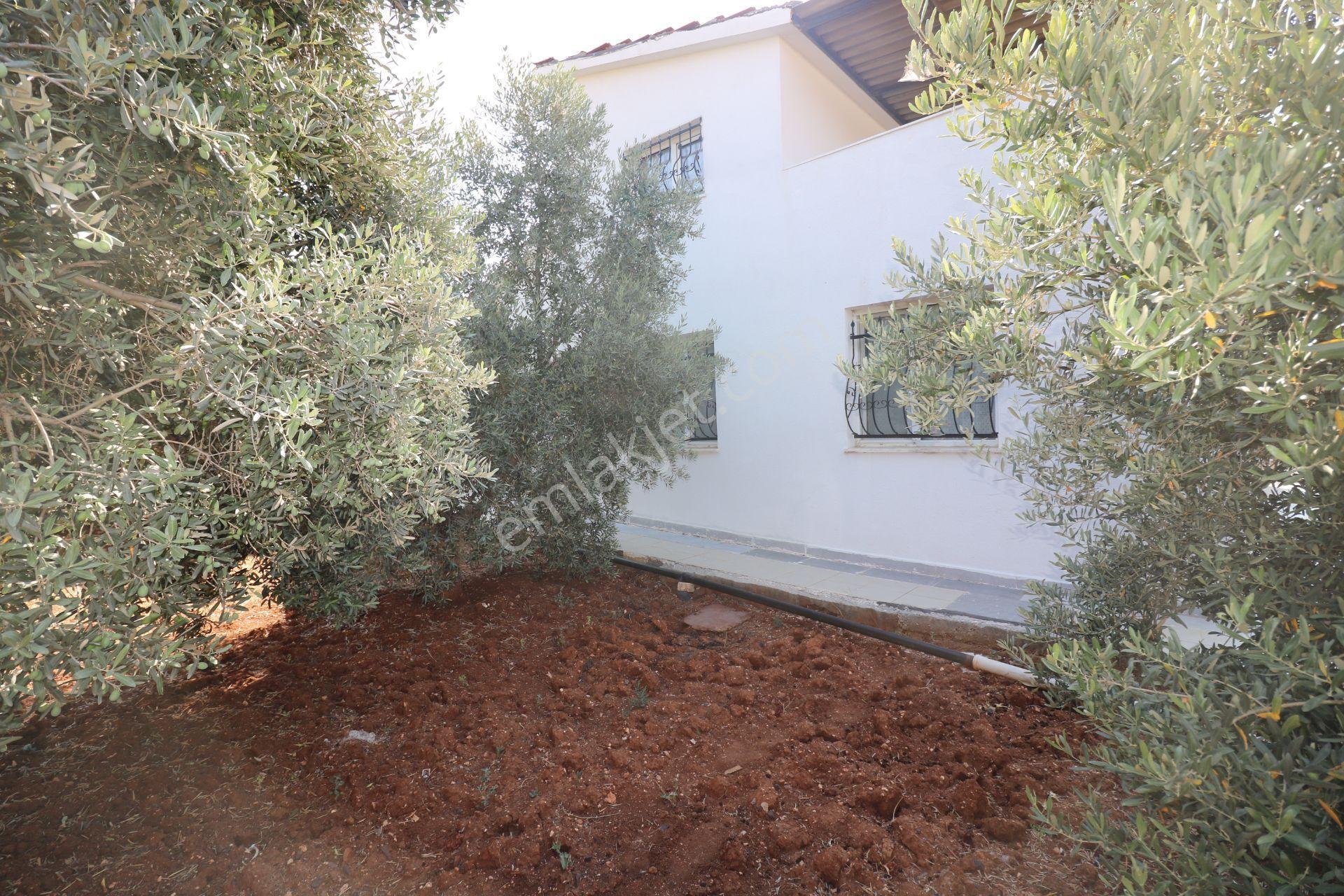 Didim Ak Yeniköy Yeşiltepe Mevkii 4+1 Geniş Bahçeli Satılık Villa - Görsel 28