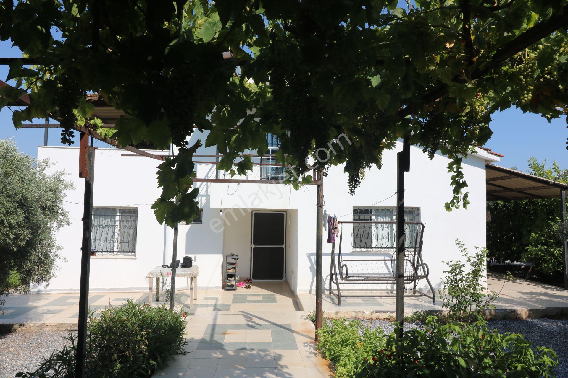 Didim Ak Yeniköy Yeşiltepe Mevkii 4+1 Geniş Bahçeli Satılık Villa - Görsel 7