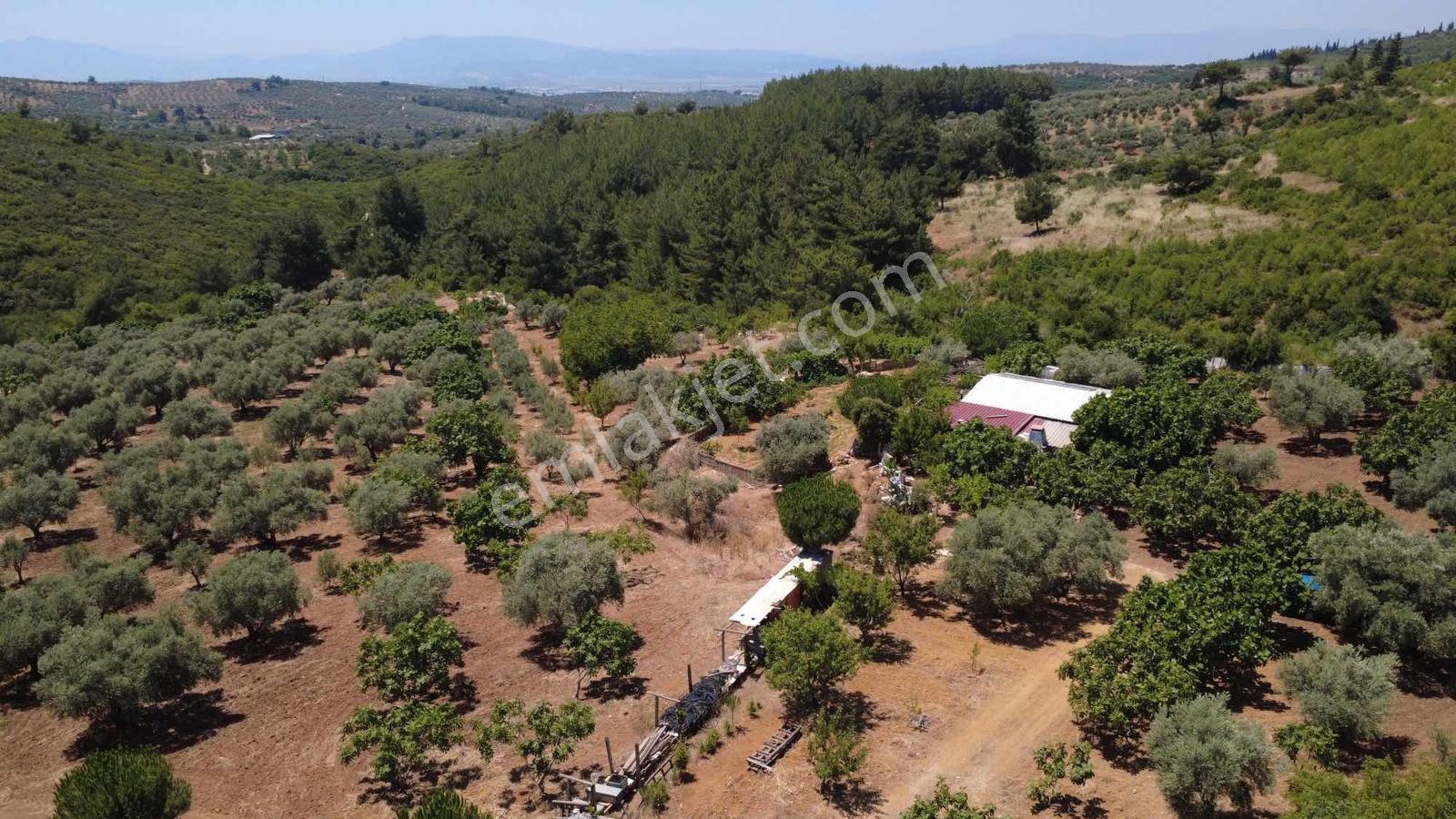 Doğayla İç İçe Satılık 13.500 M2 Tarla 2 Adet Kuyusu Var - Görsel 5