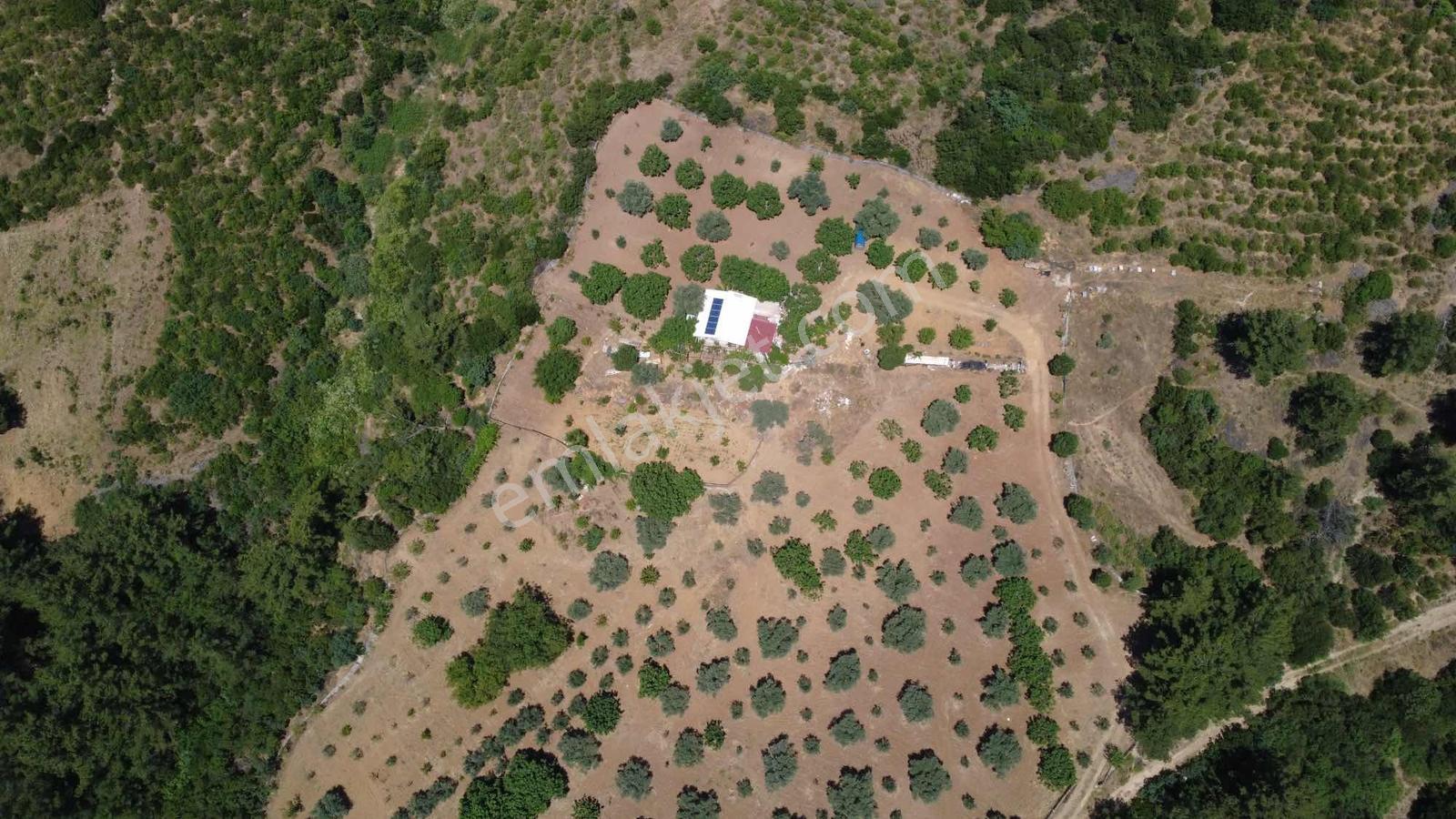 Doğayla İç İçe Satılık 13.500 M2 Tarla 2 Adet Kuyusu Var - Görsel 10