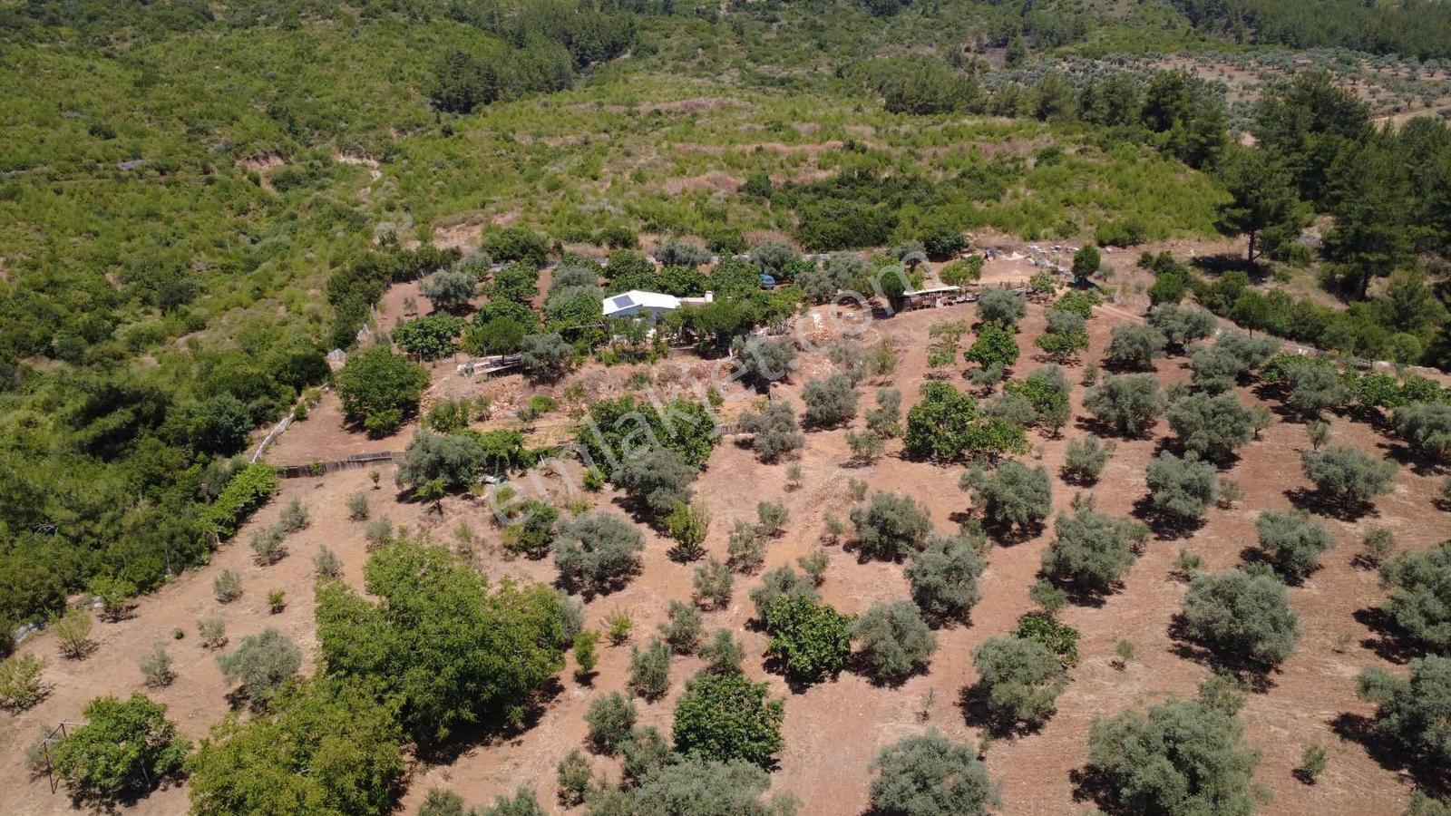 Doğayla İç İçe Satılık 13.500 M2 Tarla 2 Adet Kuyusu Var - Görsel 21