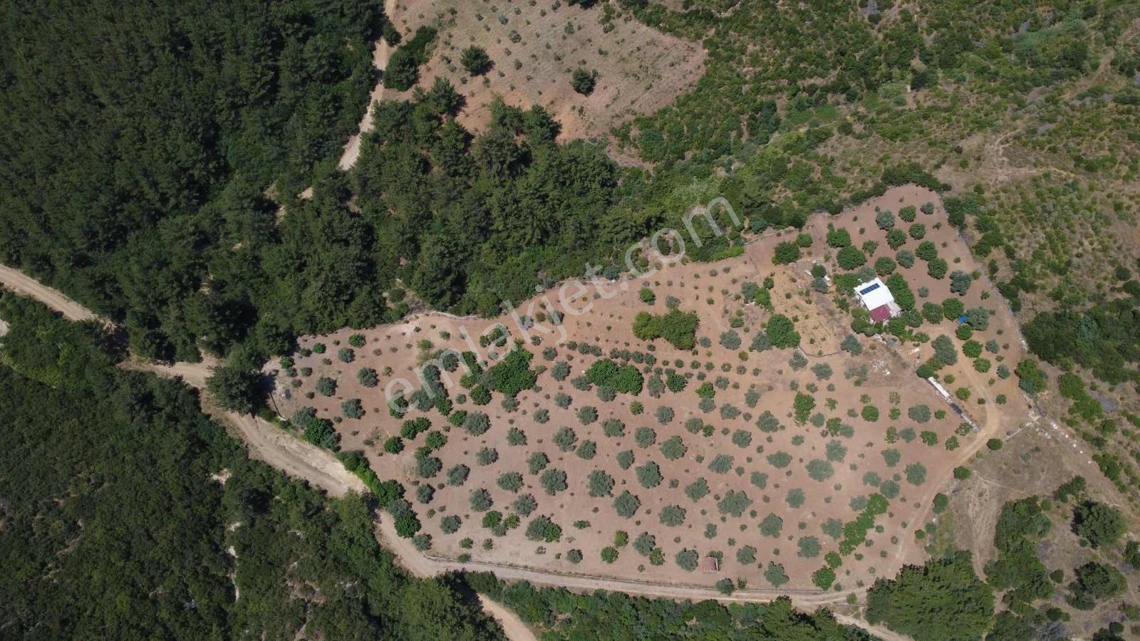 Doğayla İç İçe Satılık 13.500 M2 Tarla 2 Adet Kuyusu Var - Görsel 17