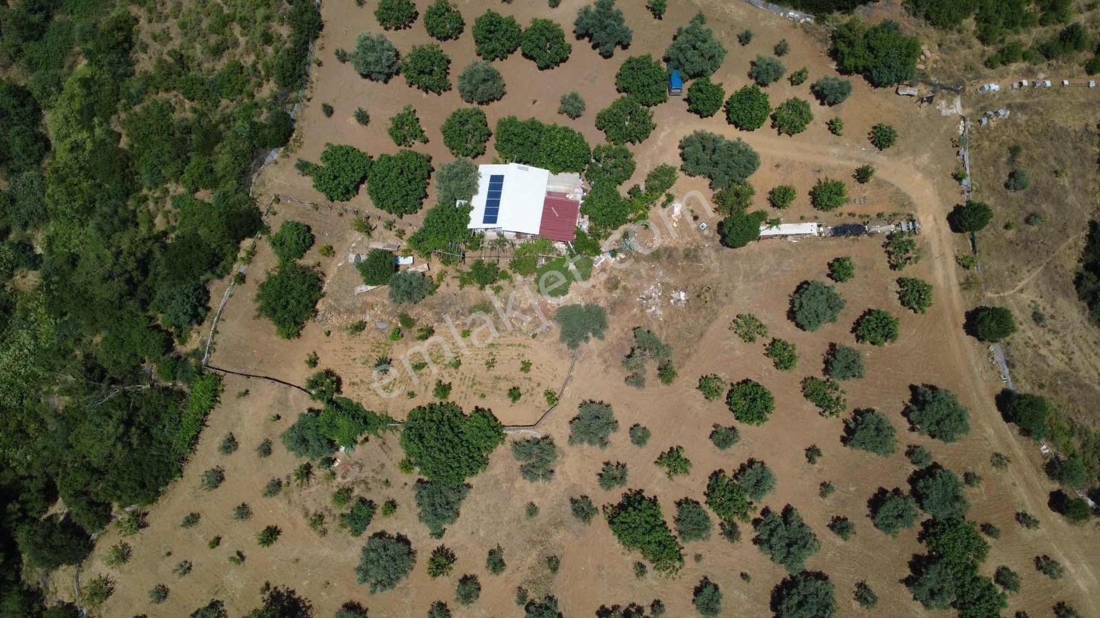Doğayla İç İçe Satılık 13.500 M2 Tarla 2 Adet Kuyusu Var - Görsel 2