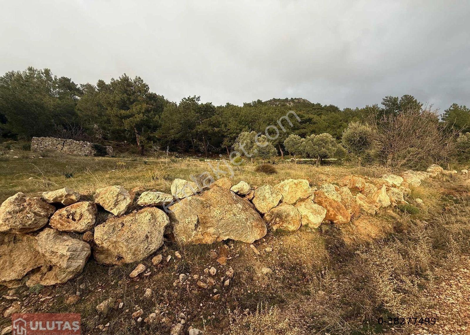 Antalya Kaş Çavdır Mah. Satılık 2596 M2 Tarla - Görsel 4