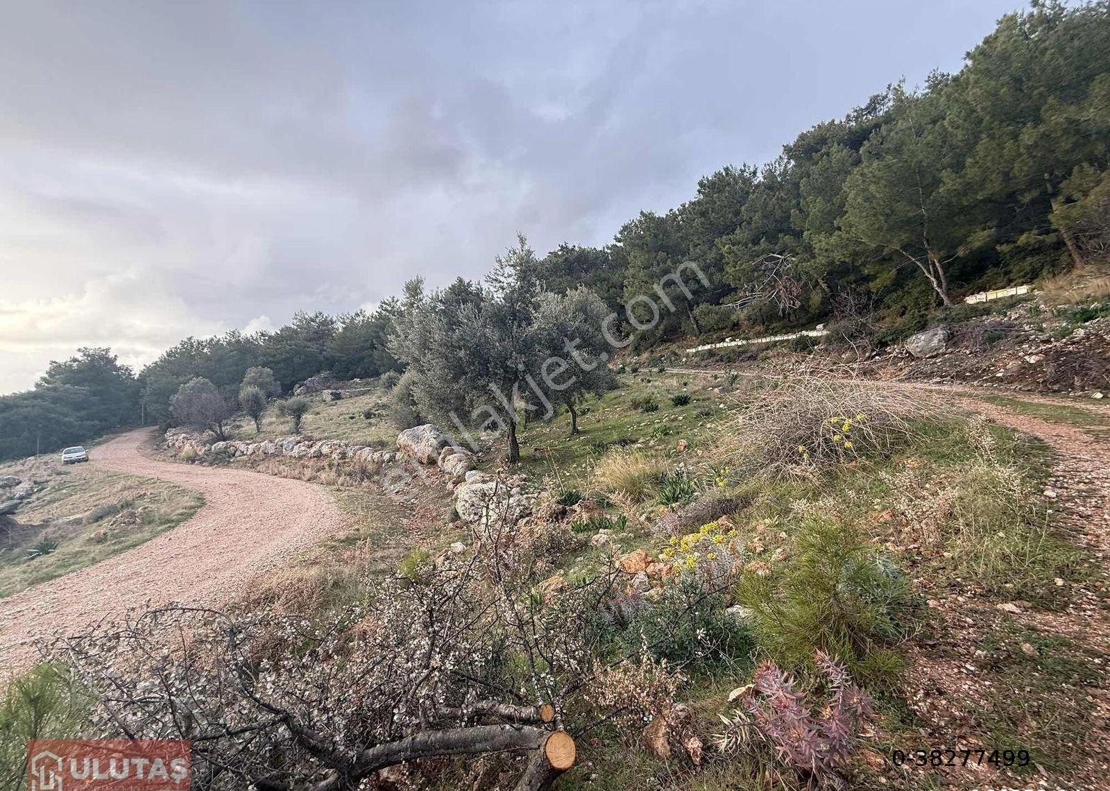 Antalya Kaş Çavdır Mah. Satılık 2596 M2 Tarla - Görsel 8