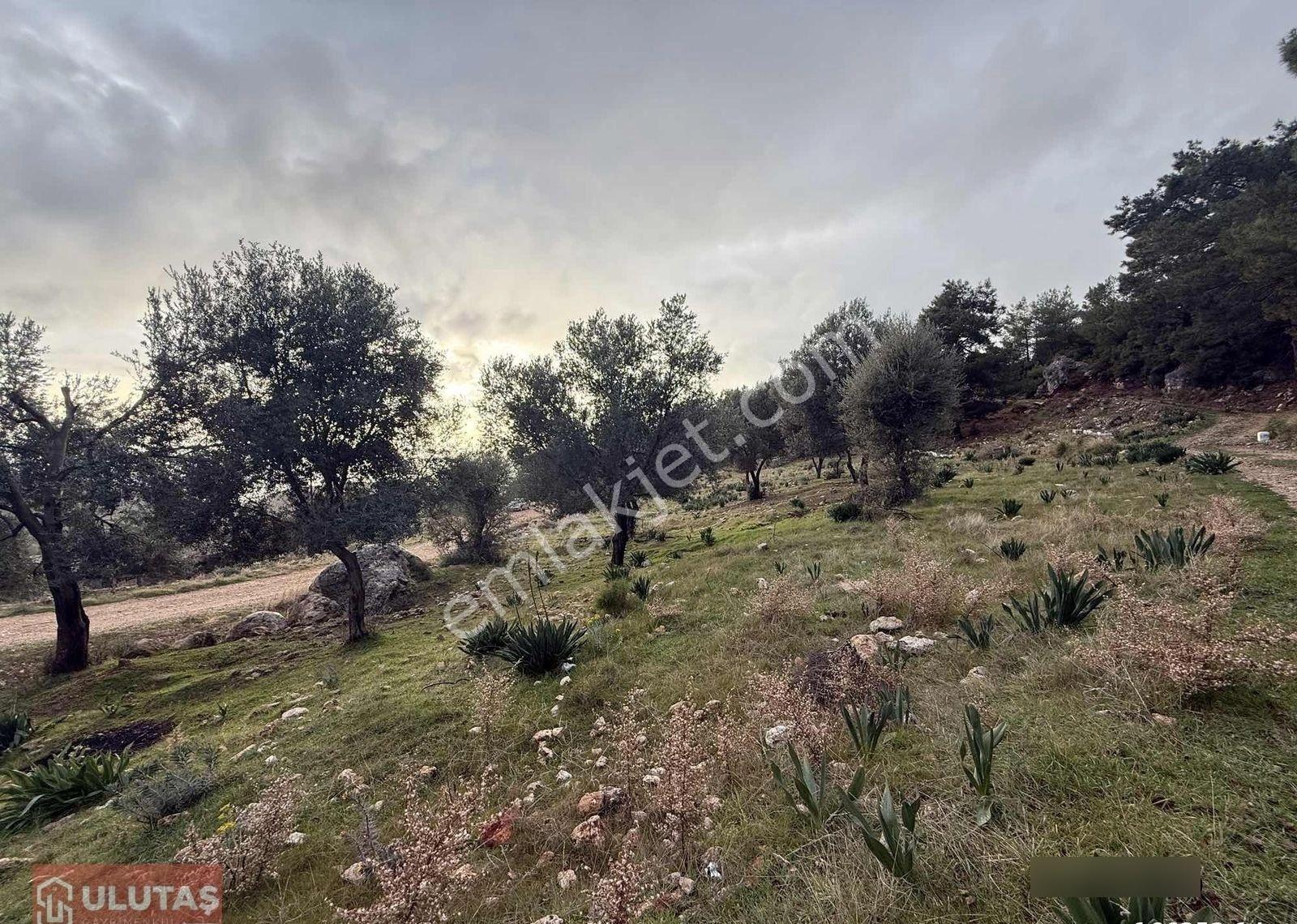 Antalya Kaş Çavdır Mah. Satılık 2596 M2 Tarla - Görsel 9