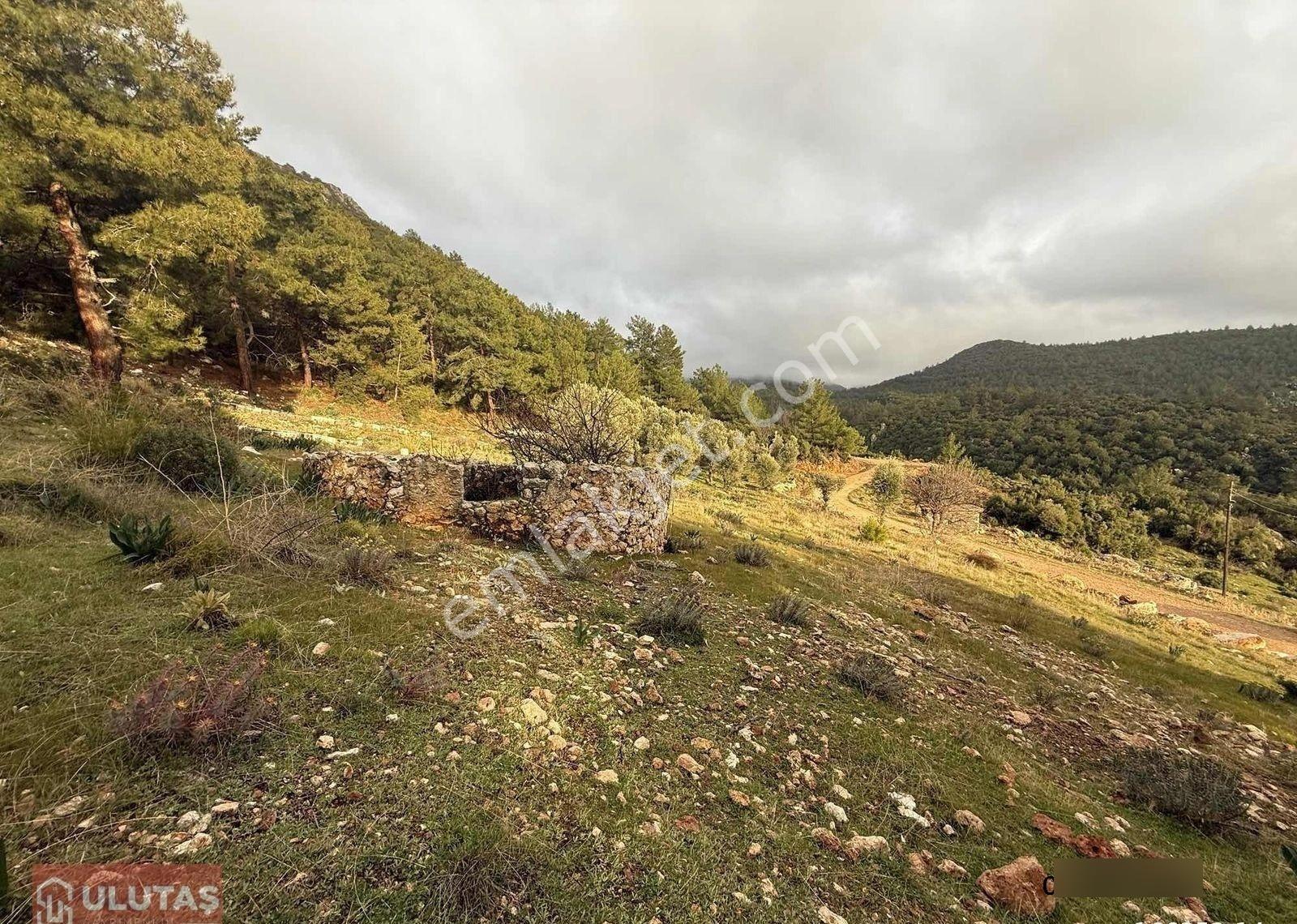 Antalya Kaş Çavdır Mah. Satılık 2596 M2 Tarla - Görsel 2