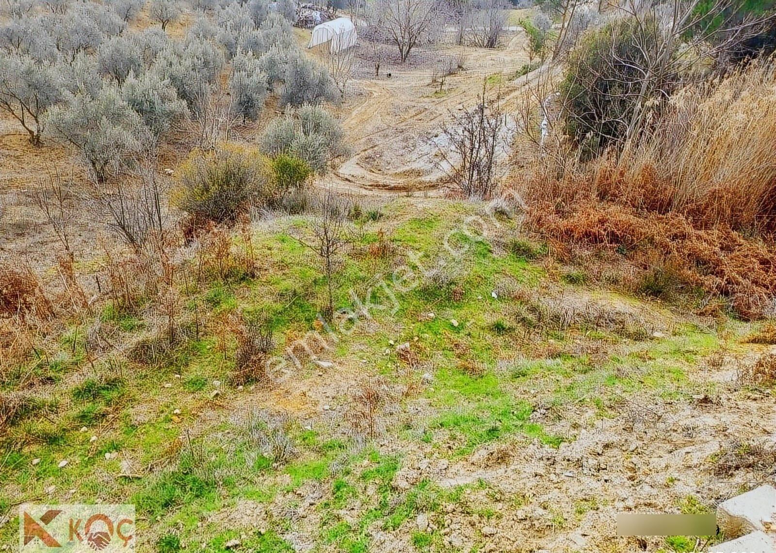 Muğla Kavaklıdere'de 390m2 Satılık Arsa - Görsel 12