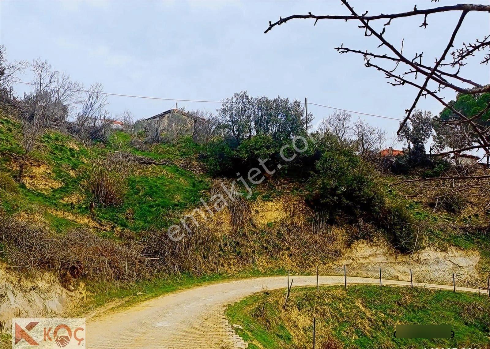 Muğla Kavaklıdere'de 390m2 Satılık Arsa - Görsel 6