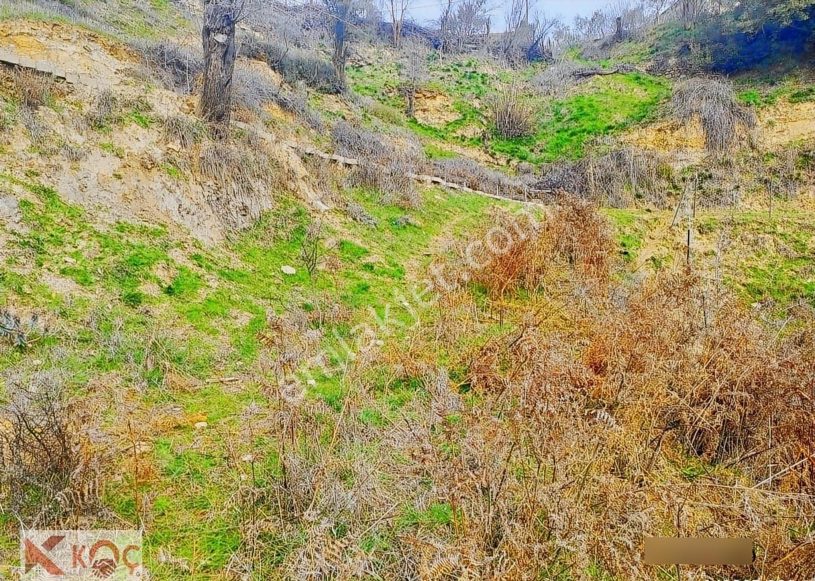 Muğla Kavaklıdere'de 390m2 Satılık Arsa - Görsel 11