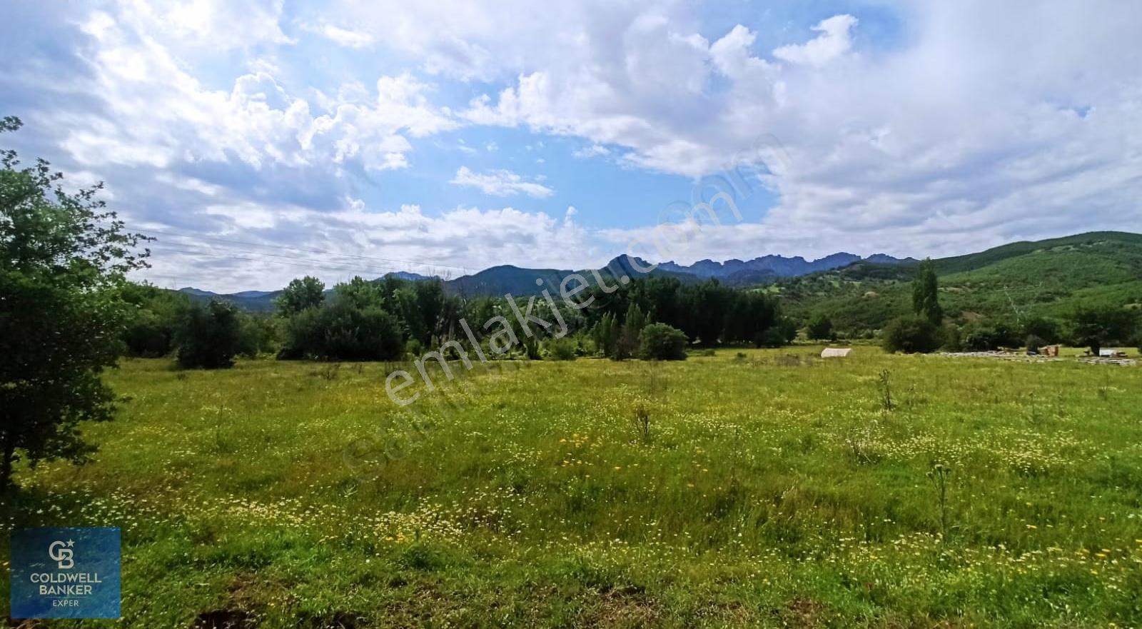 Tunceli Merkez İsmet İnönü Yolun Altında Tek Tapu - Görsel 3